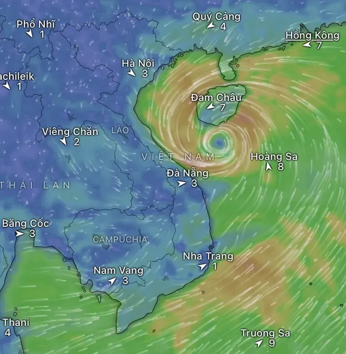 Forecast model of the storm center for the morning of August 25, according to the GFS system (U.S.). (Source: WINDY) img-1456-7492-6262.jpeg