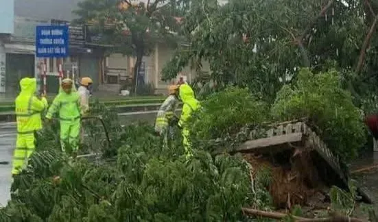 Police forces promptly cleared trees broken or toppled due to the impact of storm No. 10. z7058104593800-db6696ce95413bc1ee1b08967ec5c610-435-9743.jpg