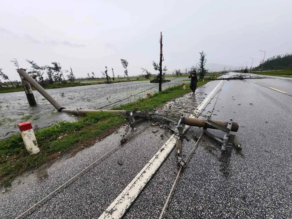 Storm Bualoi hits Ha Tinh Province, knocking down electricity poles and uprooting trees. (Photo: SGGP/ Duong Quang) 2.jpg