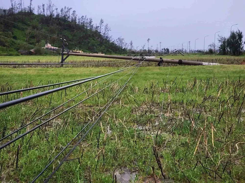 Tangled power lines stretch from fields across the road. (Photo: SGGP/ Duong Quang) 6.jpg