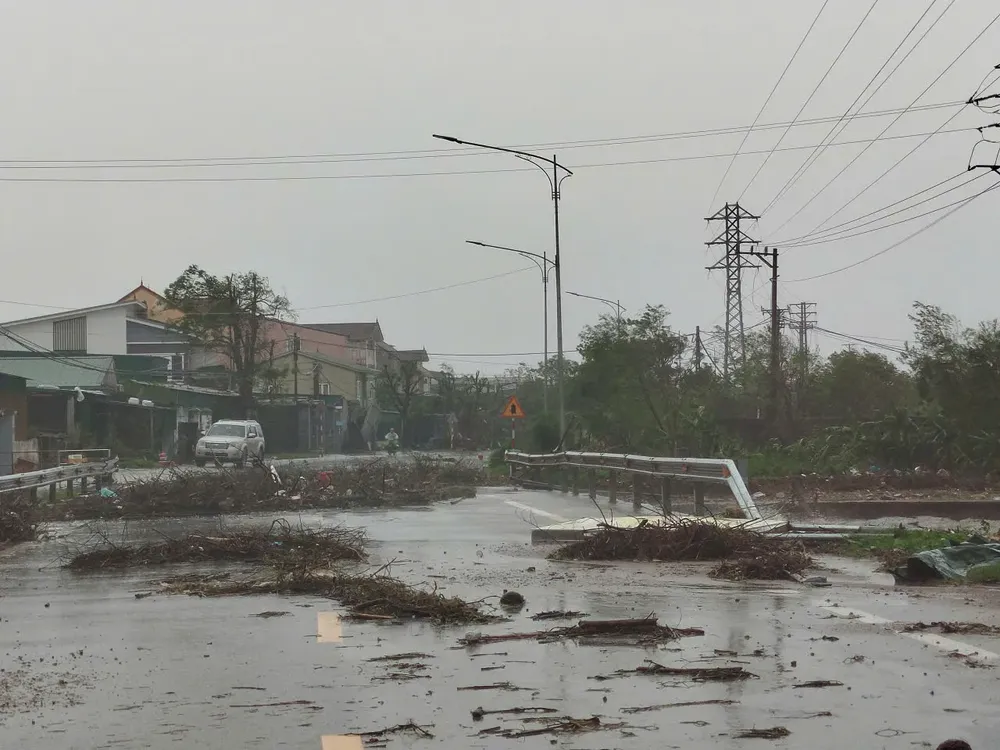 Typhoon No. 10 topples trees. (Photo: Duy Cuong) z7060783469279-1ed580b80ebd352363c546149bc5d9be-7721-7022.jpg