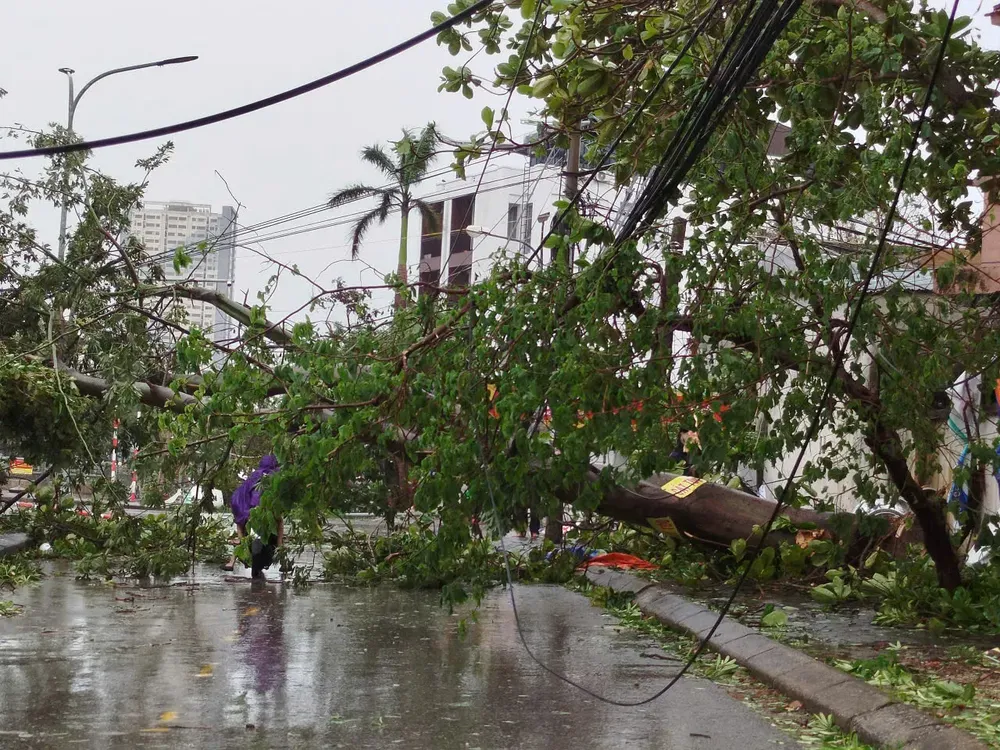 Currently, local emergency forces are actively conducting cleanup and recovery efforts to ensure the safety of residents and road users. z7060955800982-8d2cbc3a2f52851199f246b93bc23182-1398-5932.jpg
