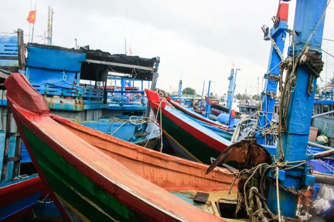 Boats are securely moored to prevent collisions during the storm. (Photo: SGGP/ Nguyen Trang) tau-1-1-of-1-2675-937.jpg