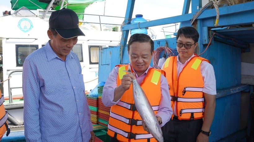 Vice Chairman of the Ho Chi Minh City People’s Committee Bui Minh Thanh inspects seafood unloaded from a fishing boat. (Photo: nongnghiepmoitruong.vn) tphcm-siet-chat-quan-ly-tau-ca-truoc-dot-thanh-tra-ec-162605-768-182822.jpg