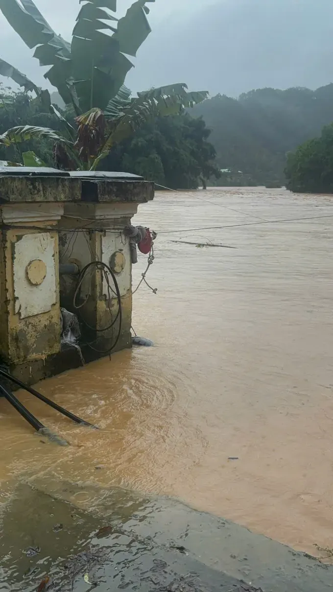 Rising waters have overtopped embankments in A Vuong Commune, inundating houses across the area. z7162382652915-28428a219c0ee3005cbb68cf0147be0e-8128-3130.jpg