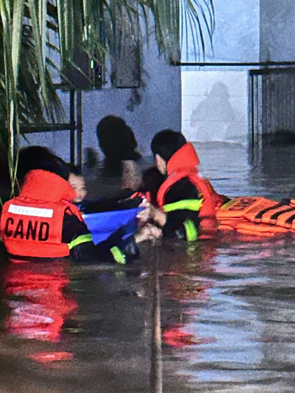 cứu hộ 2.jpg