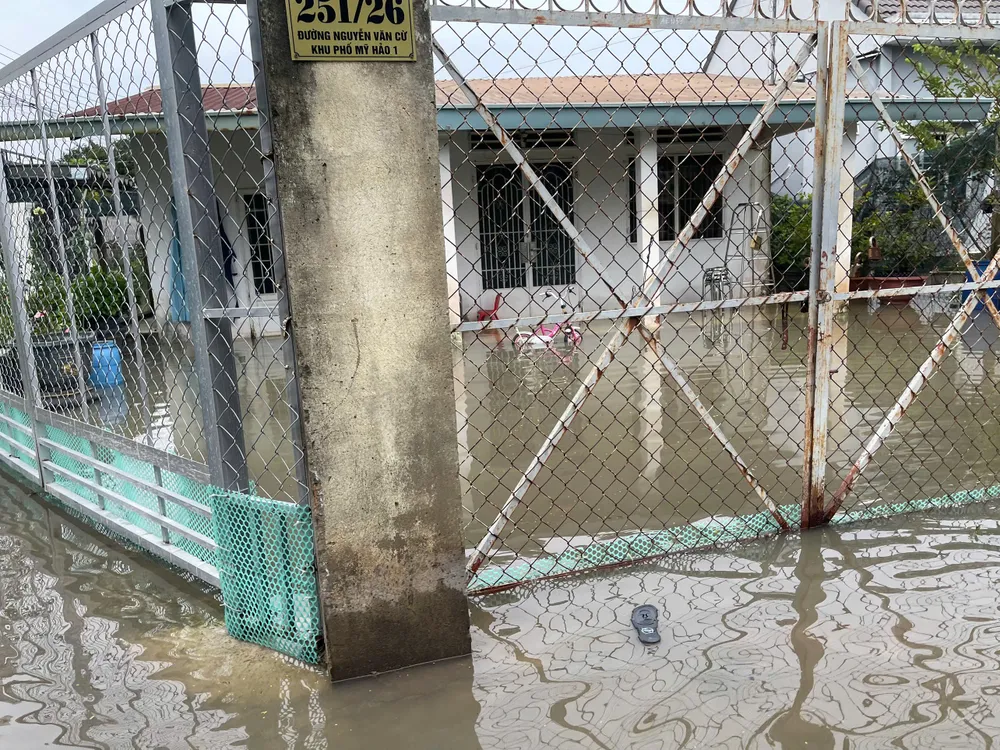 Cách đó không xa, nhiều con hẻm thuộc khu phố Mỹ Hảo cũng chìm trong nước triều cường 17.jpg
