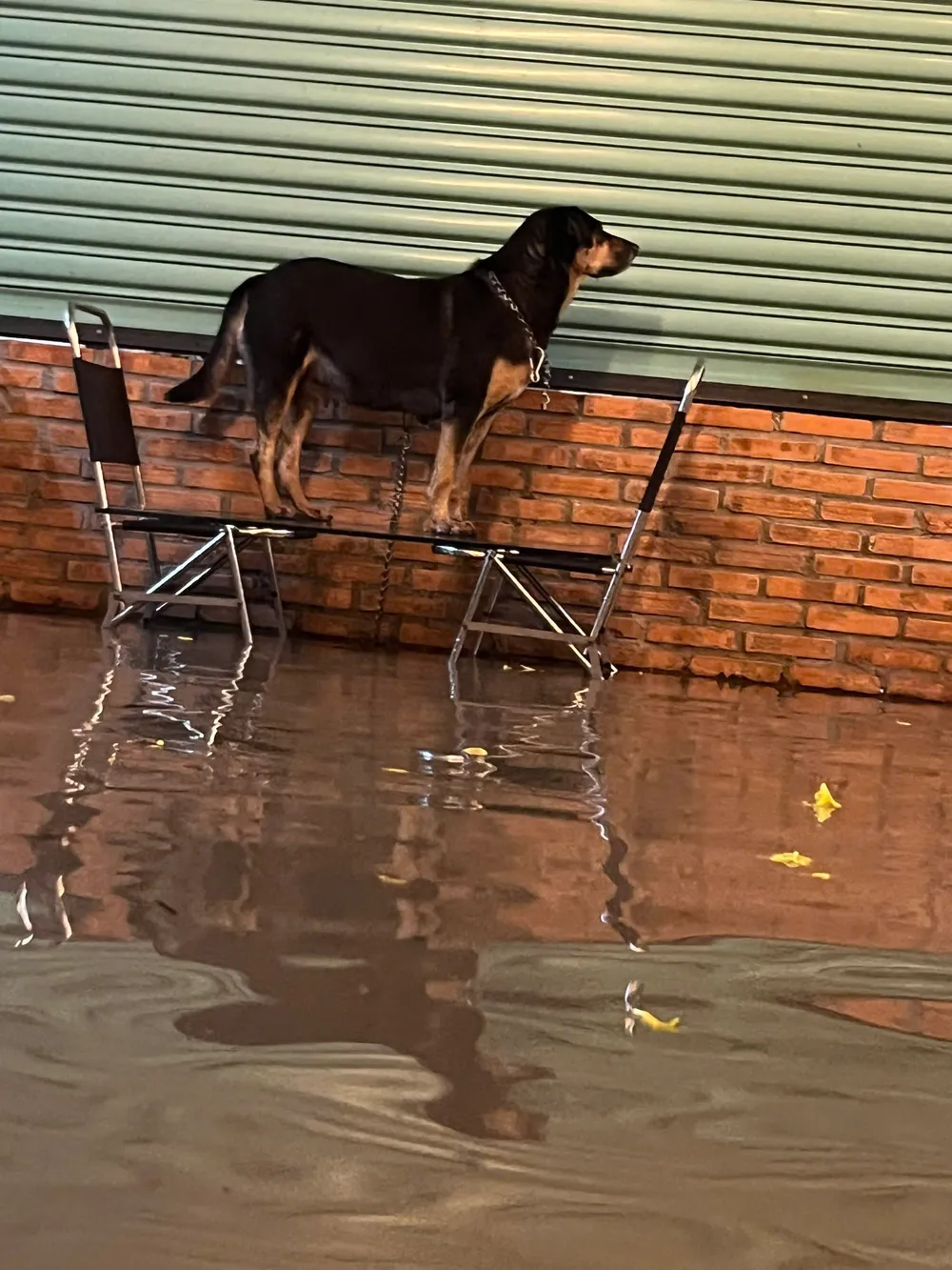 Maison inondée d'un habitant du quartier de Phu An Phú An ngập 4.jpg