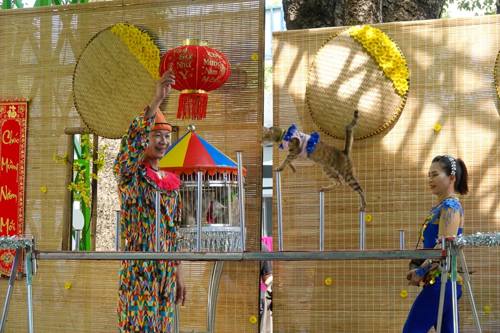 Tiết mục xiếc mèo dễ thương và hấp dẫn với khán giả nhỏ tuổi. Ảnh: THÚY BÌNH