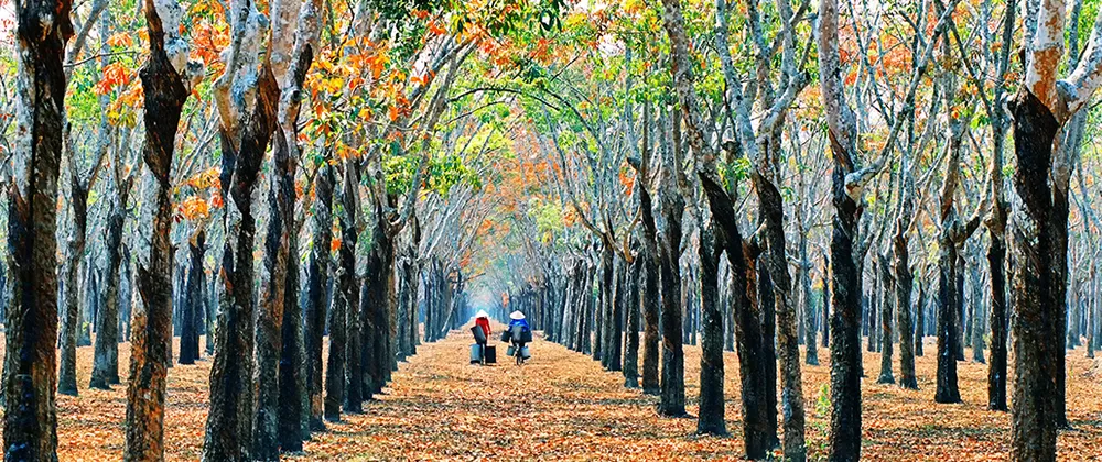 Tác phẩm &quot;Đôi bạn&quot;