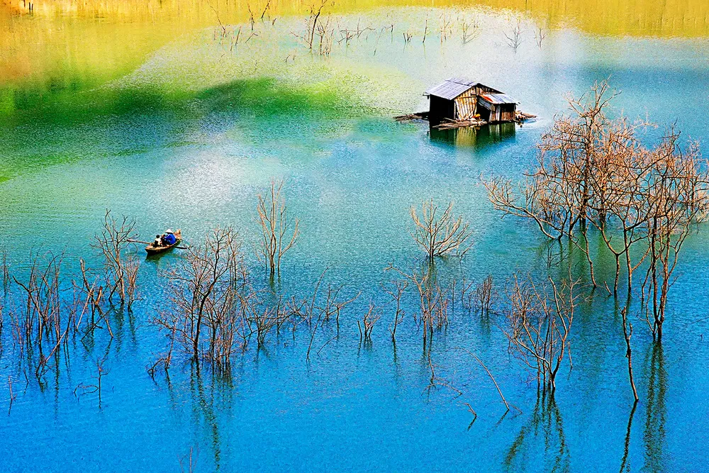 Tác phẩm &quot;Sắc màu cuộc sống&quot;