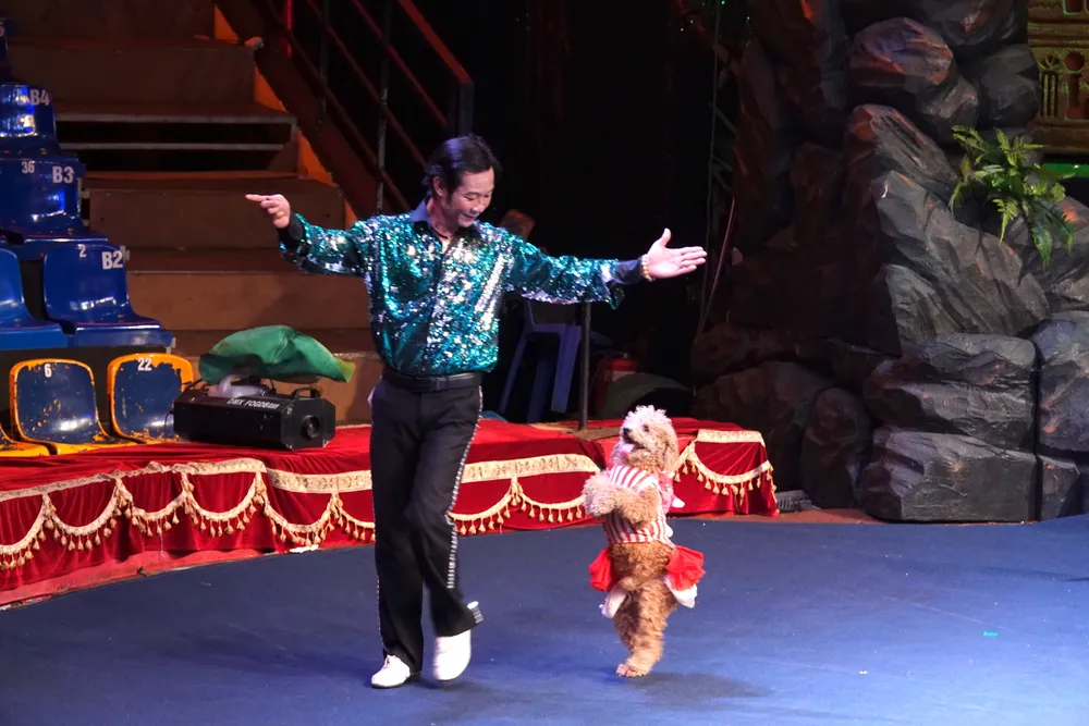 Biểu diễn luyện thú thông minh. Ảnh: THÚY BÌNH Biểu diễn luyện thú thông minh. Ảnh: THÚY BÌNH