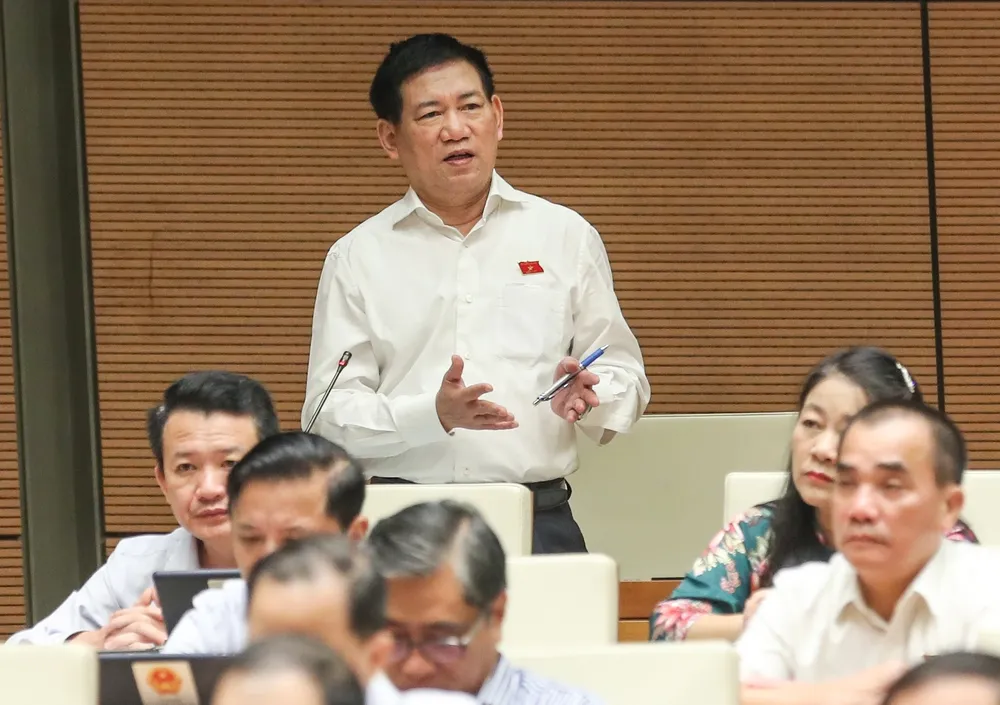 Phiên chất vấn sáng 5-11: Xác định tự chủ một phần hay tự chủ toàn diện ảnh 6