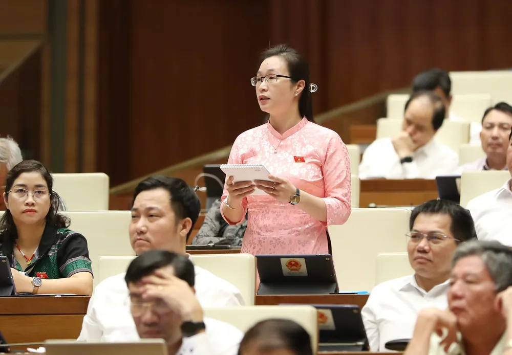 Phiên chất vấn sáng 5-11: Xác định tự chủ một phần hay tự chủ toàn diện ảnh 3