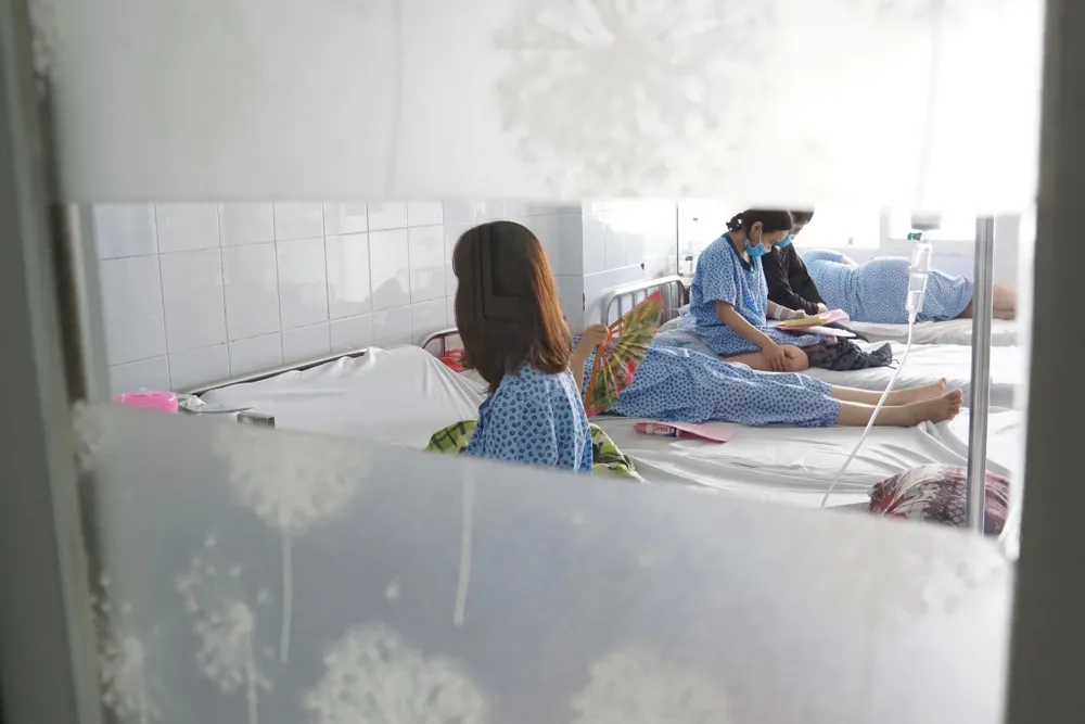 Cơ bản dập tắt được ổ dịch cúm A/H1N1 ảnh 2 Cơ bản dập tắt được ổ dịch cúm A/H1N1 ảnh 2