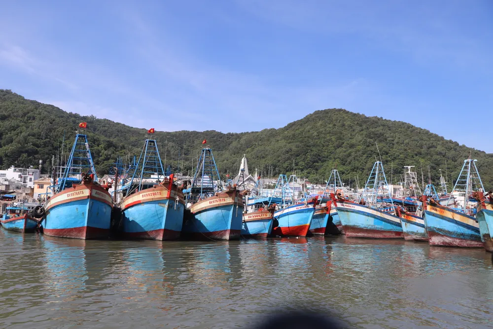 Tàu cá đang neo đậu tại khu vực Sao Mai, phường Vũng Tàu IMG_3635.JPG