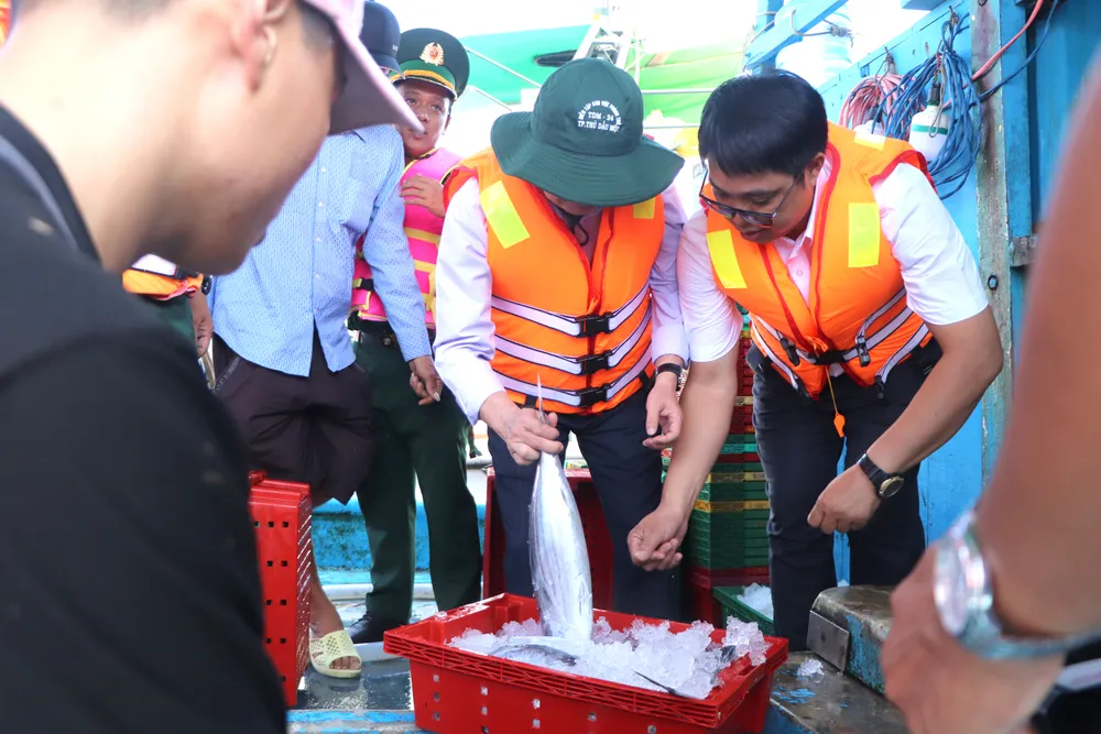 Phó Chủ tịch UBND TPHCM kiểm tra sản phẩm đánh bắt của ngư dân khi đưa từ hầm đá lên IMG_3700.JPG