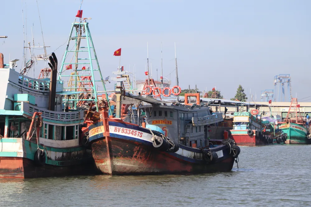 Tàu cá của ngư dân TPHCM neo đậu tại khu vực cảng Cát Lở, phường Phước Thắng IMG_3517.JPG