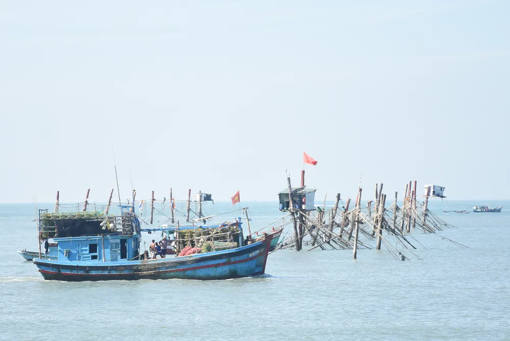 Một số tàu cá không thể thực hiện thủ tục để cấp giấy phép khai thác, đăng kiểm do việc ban hành quy định cấm một số nghề khai thác ở vùng ven bờ, vùng nội địa DSC_9081.JPG