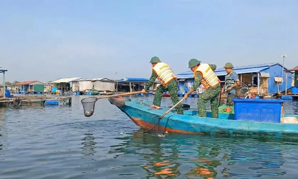 Vớt cá chết trôi dạt trên sông Chà Và