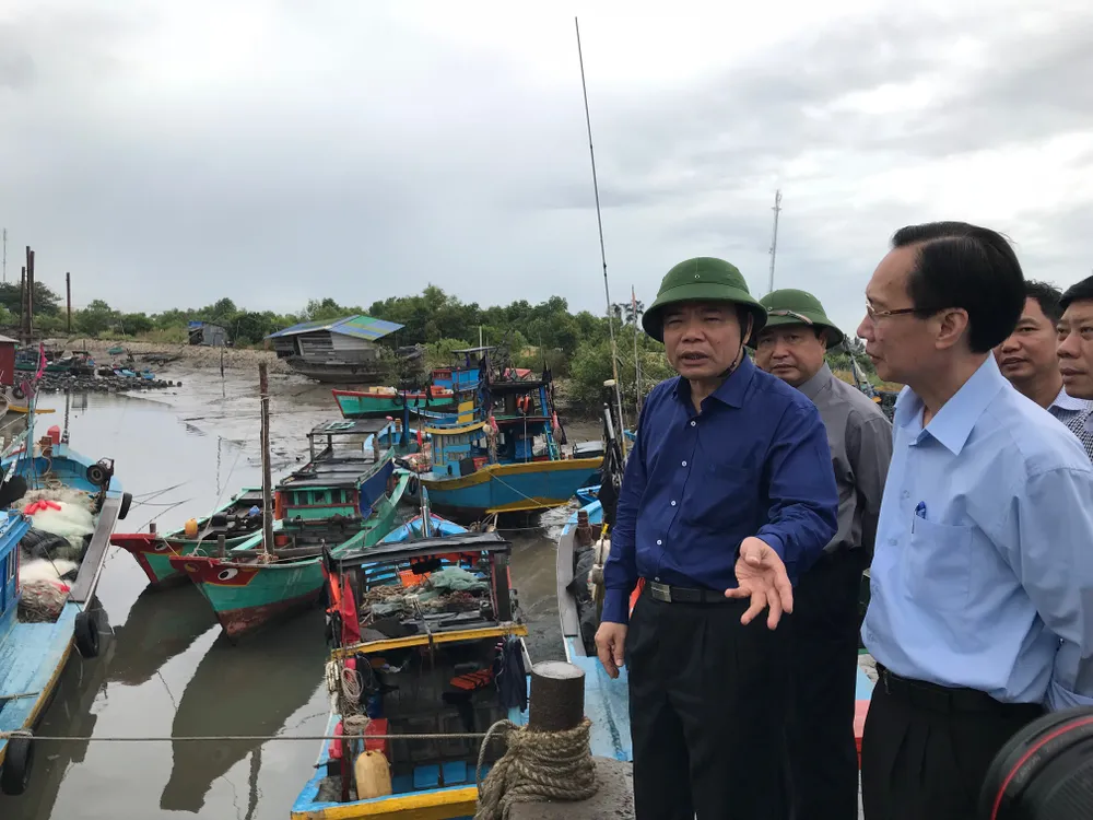 TPHCM khẩn trương phòng chống cơn bão số 9 ảnh 10 TPHCM khẩn trương phòng chống cơn bão số 9 ảnh 10