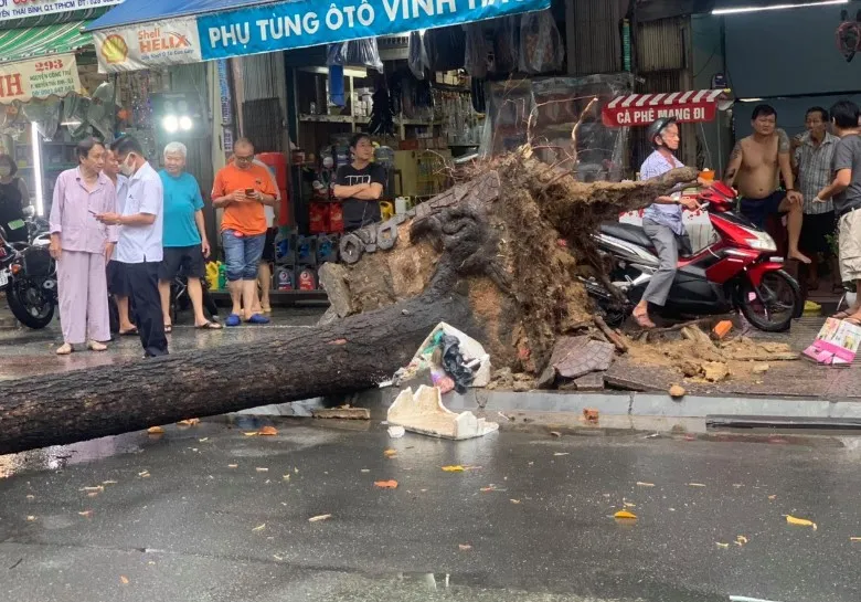 Mưa dông có xu hướng gia tăng ở Nam bộ trong những ngày tới ảnh 1