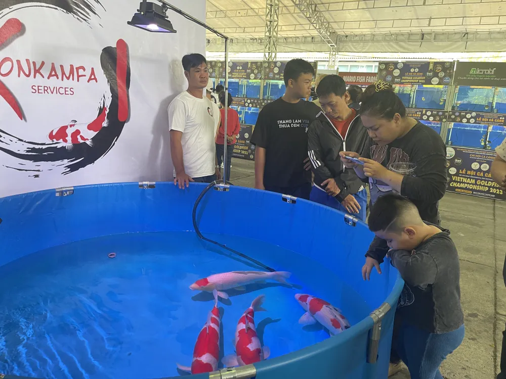 Lễ hội trưng bày nhiều cá cảnh giá trị cao