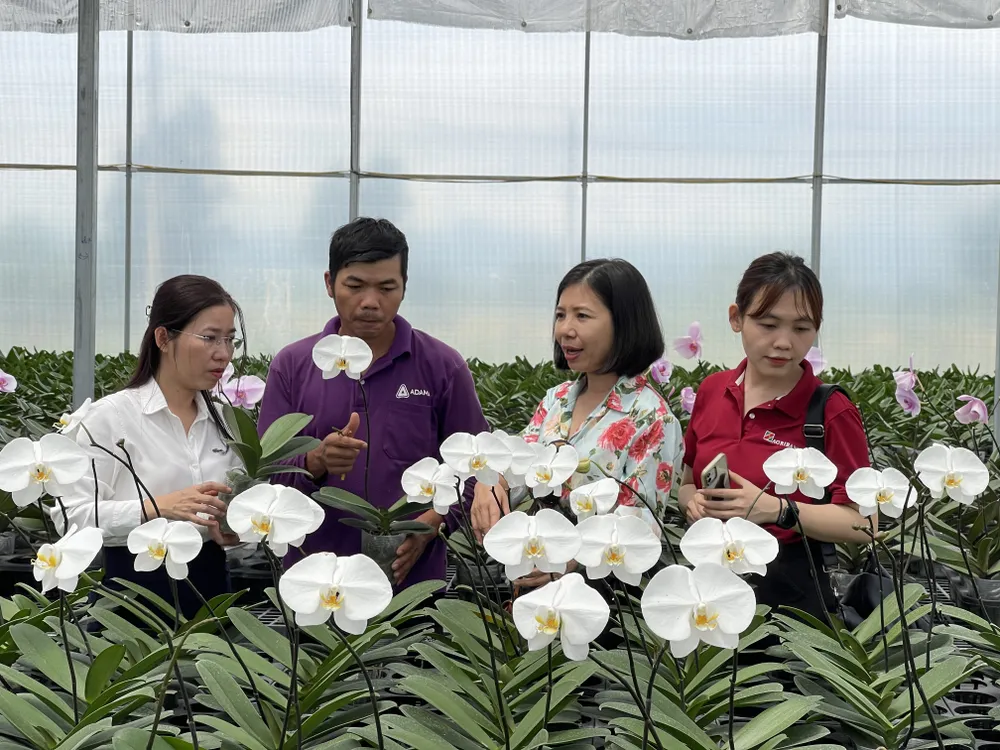 Doanh nghiệp sản xuất cần liên kết để tạo thành chuỗi sản xuất bền vững Doanh nghiệp sản xuất cần liên kết để tạo thành chuỗi sản xuất bền vững