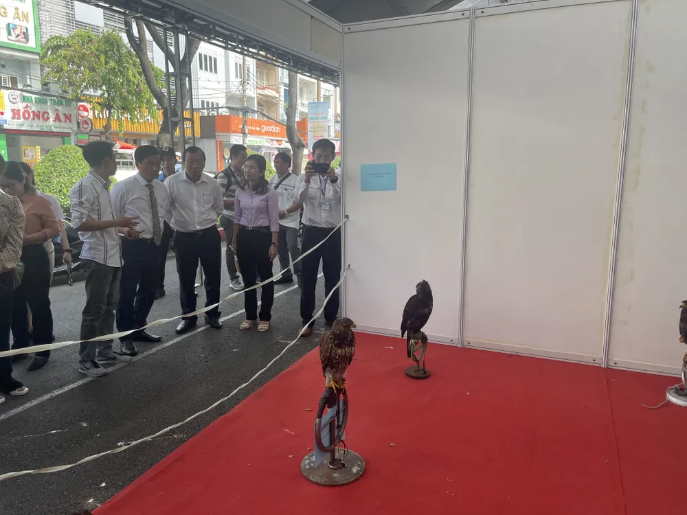 Khu trưng bày, giới thiệu các giống chim săn mồi Khu trưng bày, giới thiệu các giống chim săn mồi