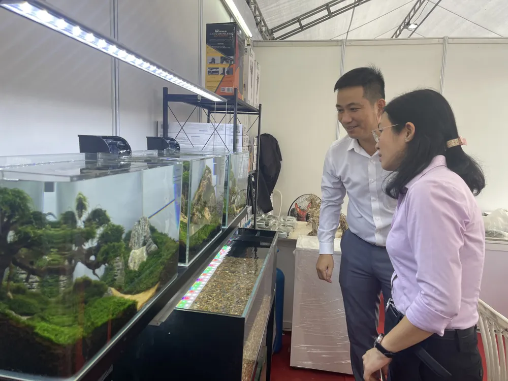 Khu trưng bày giới thiệu một số giống cá cảnh tiêu biểu trên địa bàn Thành phố mang lại hiệu quả kinh tế cao Khu trưng bày giới thiệu một số giống cá cảnh tiêu biểu trên địa bàn Thành phố mang lại hiệu quả kinh tế cao