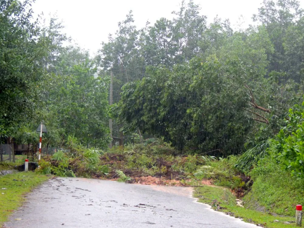 Hơn 60 trường bị ngập lụt, Quảng Ngãi cho học sinh nghỉ học trong ngày 6-11 ảnh 2 Hơn 60 trường bị ngập lụt, Quảng Ngãi cho học sinh nghỉ học trong ngày 6-11 ảnh 2