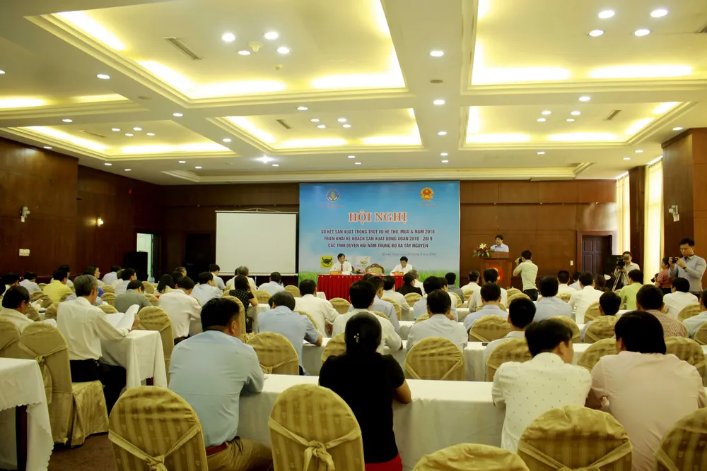 Sơ kết sản xuất trồng trọt năm 2018 các tỉnh duyên hải Nam Trung Bộ và Tây Nguyên ảnh 2 Sơ kết sản xuất trồng trọt năm 2018 các tỉnh duyên hải Nam Trung Bộ và Tây Nguyên ảnh 2