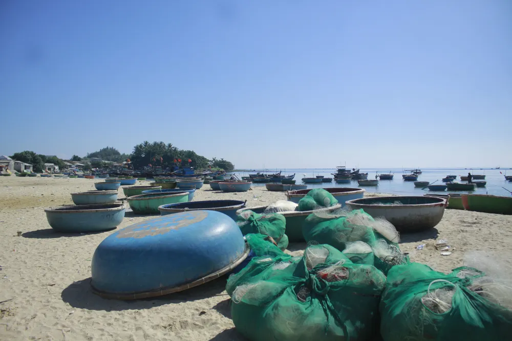 Mùng 1, hái lộc đầu năm với ngư dân Quảng Ngãi ảnh 7