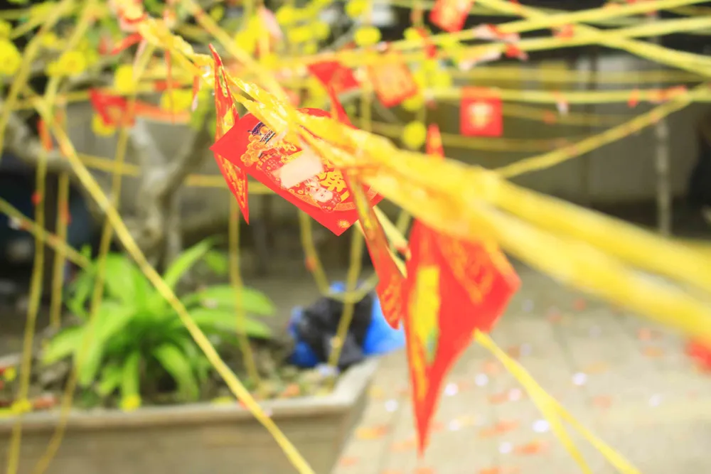 Mùng 1, hái lộc đầu năm với ngư dân Quảng Ngãi ảnh 4