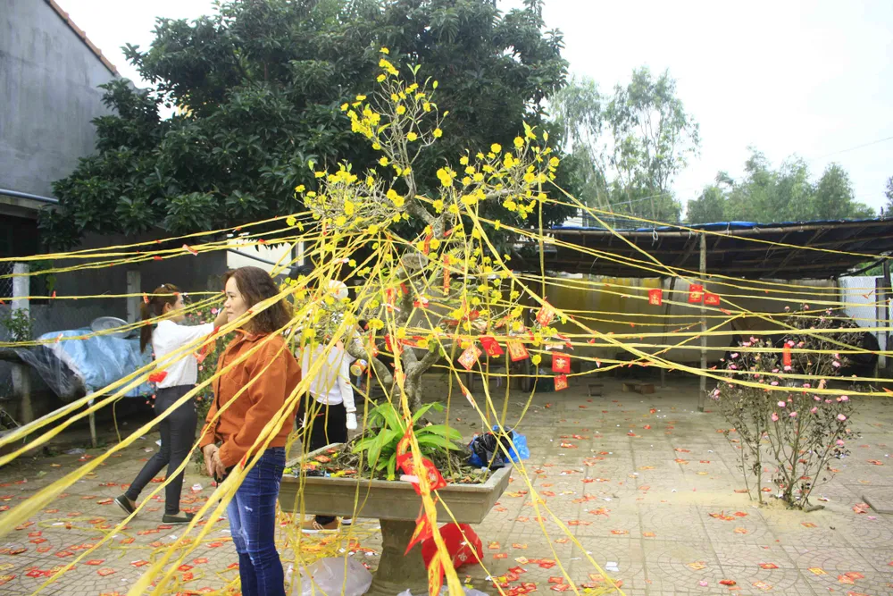 Mùng 1, hái lộc đầu năm với ngư dân Quảng Ngãi ảnh 2