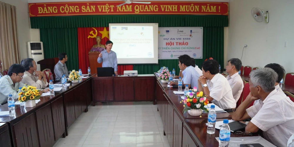 Hỗ trợ các hộ trồng rừng hướng tới cấp chứng chỉ rừng ảnh 1 Hỗ trợ các hộ trồng rừng hướng tới cấp chứng chỉ rừng ảnh 1