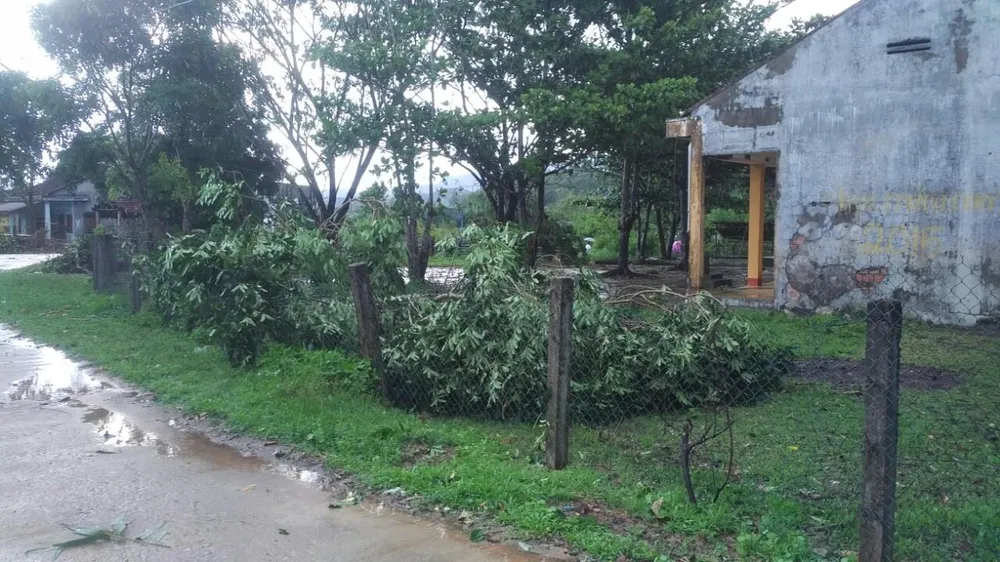 Lốc xoáy cuốn đổ sập hàng chục ngôi nhà ở Quảng Ngãi ảnh 5