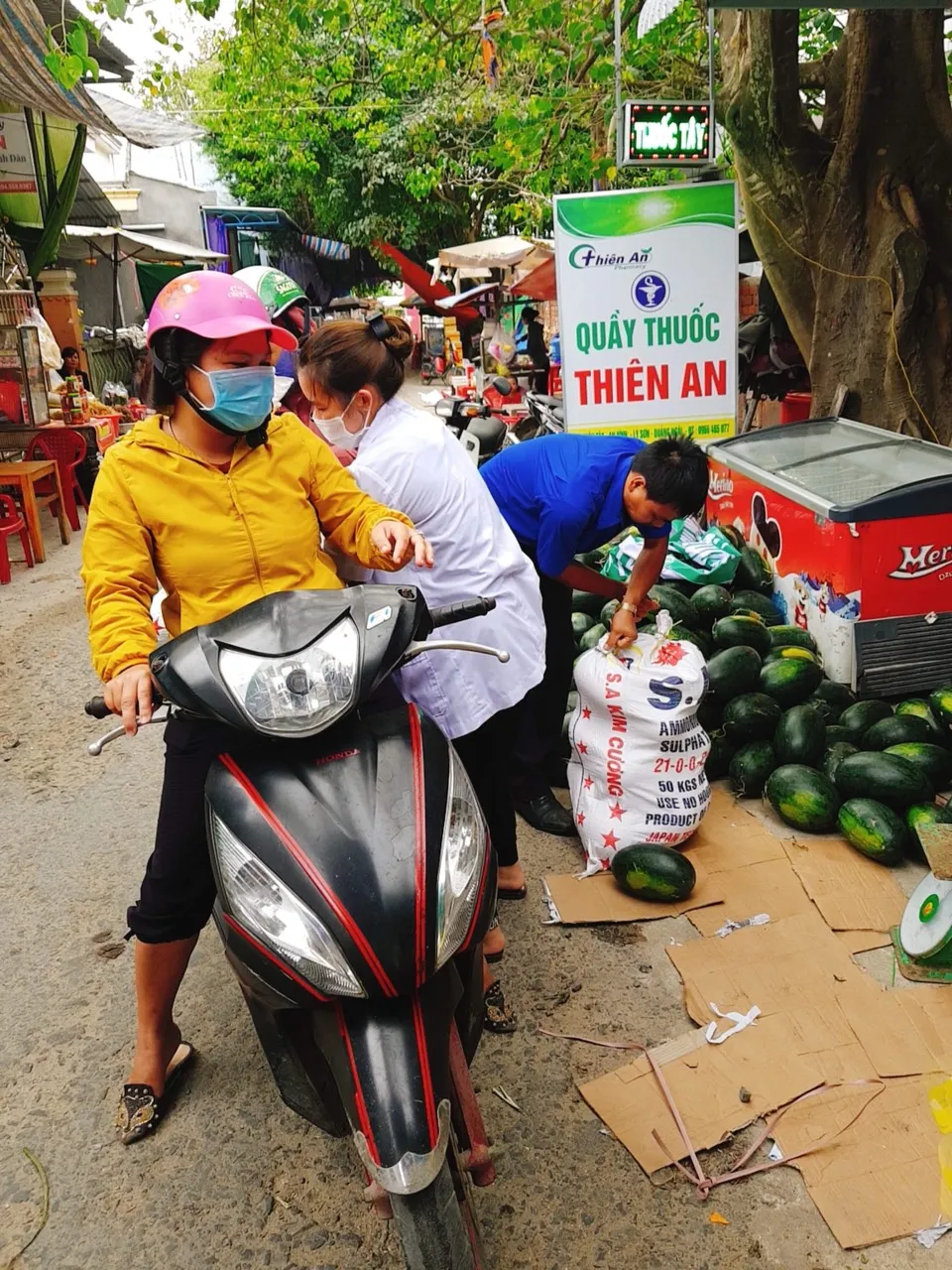 Thanh niên Quảng Ngãi “giải cứu” dưa hấu ảnh 5 Thanh niên Quảng Ngãi “giải cứu” dưa hấu ảnh 5
