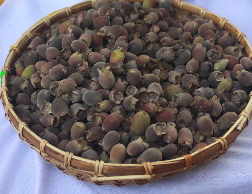 Chợ phiên Văn hóa Miền núi ngay giữa lòng thành phố Quảng Ngãi ảnh 10