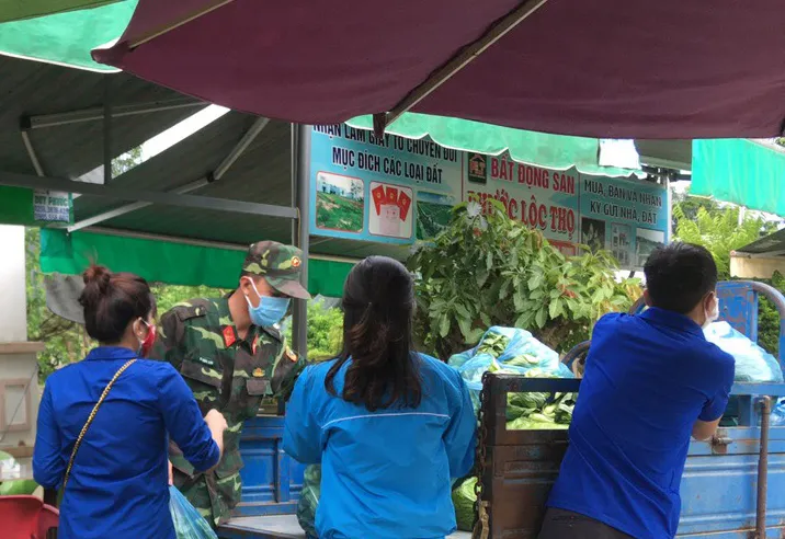 Nông dân hái rau hỗ trợ các khu cách ly ở Quảng Ngãi  ảnh 13