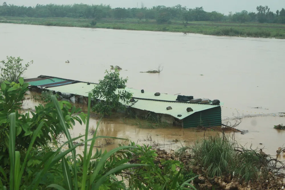 Quảng Ngãi: Liên lạc với 2 tàu cá ở vùng biển Trường Sa, sẵn sàng di dời dân đến nơi an toàn ảnh 1