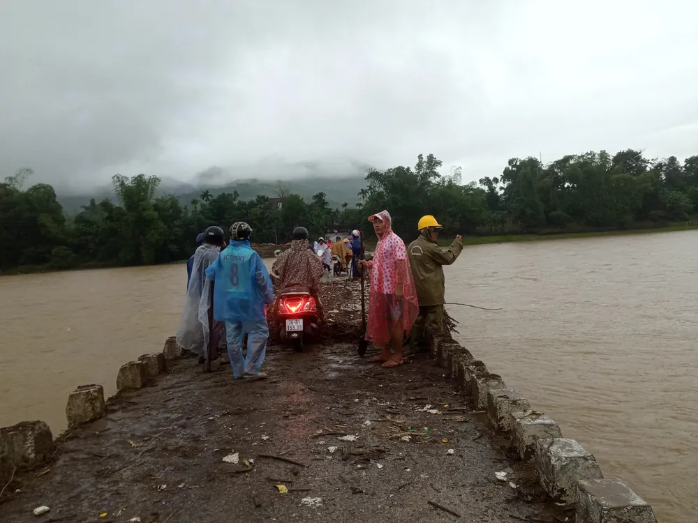 Hàng trăm hecta nông nghiệp và thủy sản tại Quảng Ngãi bị thiệt hại, lũ đang rút ảnh 3