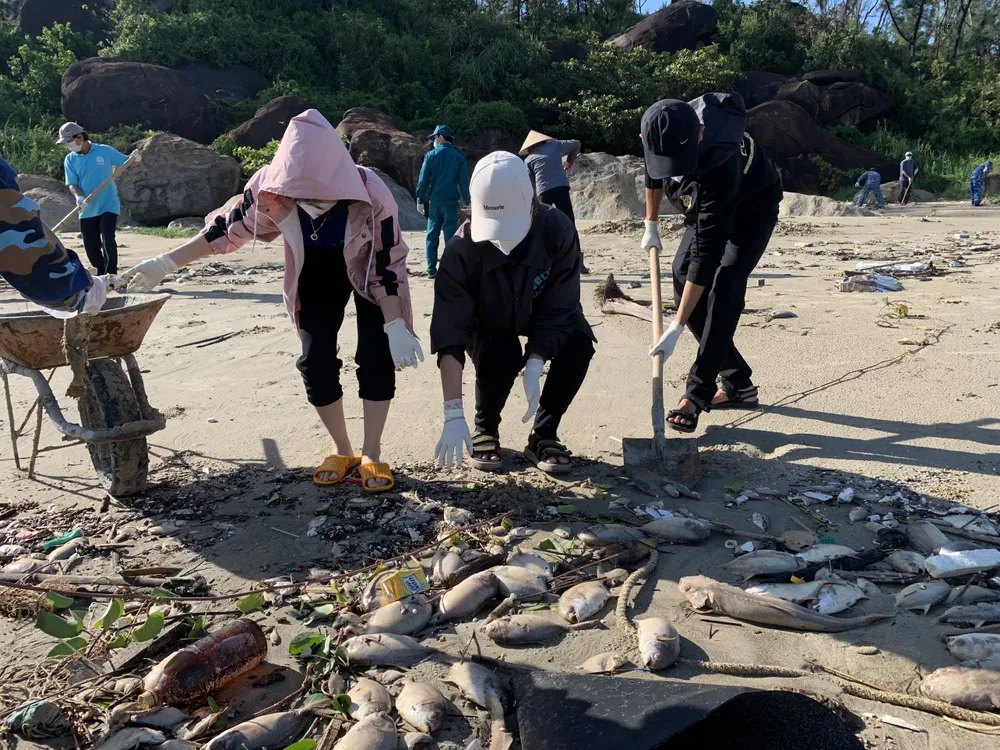 Quảng Ngãi: Chôn lấp hơn 5 tấn cá nuôi lồng bè bị chết sau bão số 5 ảnh 8