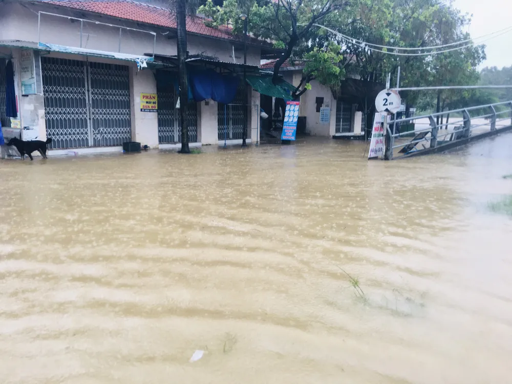 Lũ trên các sông ở Quảng Ngãi lên nhanh, sắp trên mức báo động 3 ảnh 10