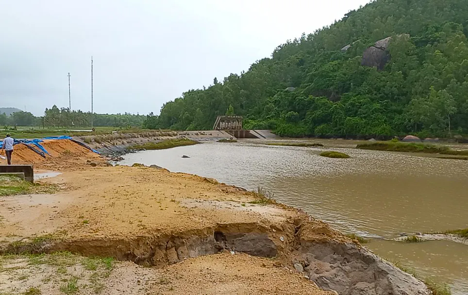 Quảng Ngãi: Mưa lũ gây sạt lở đê ngăn mặn  ảnh 1