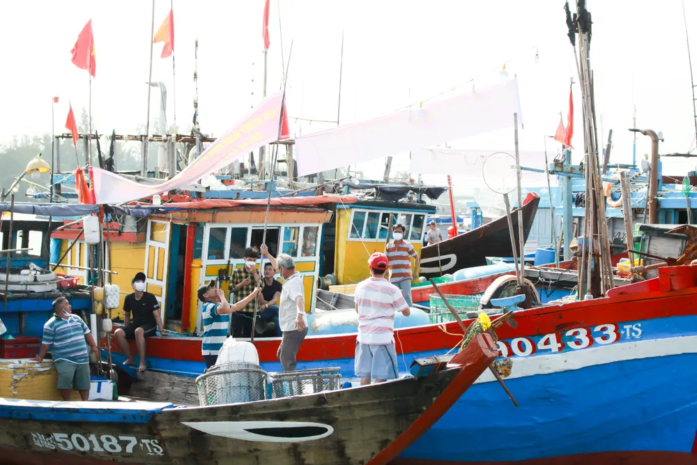 Ngư dân Quảng Ngãi tổ chức lễ cầu ngư và ra khơi đánh bắt đầu năm ảnh 5