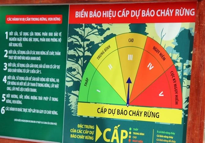 Quảng Ngãi nắng nóng, cảnh báo cháy rừng cấp cao