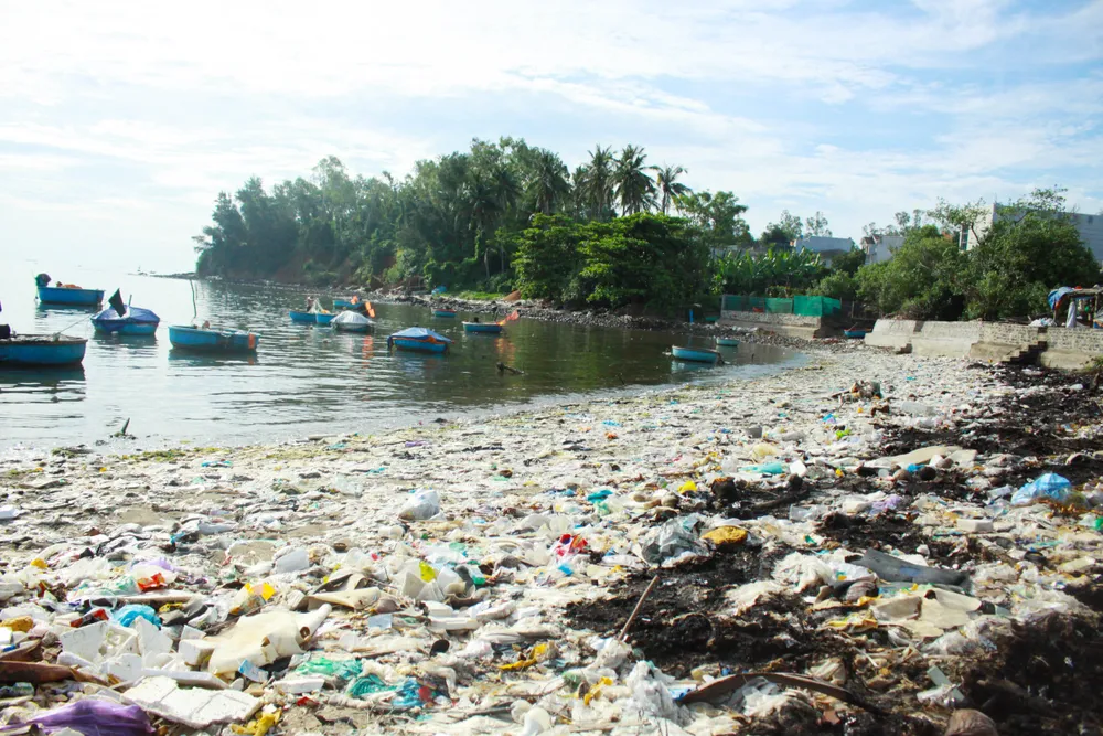 Quảng Ngãi: Rác thải tiếp tục “bức tử” bãi biển Sa Kỳ ảnh 5 Quảng Ngãi: Rác thải tiếp tục “bức tử” bãi biển Sa Kỳ ảnh 5