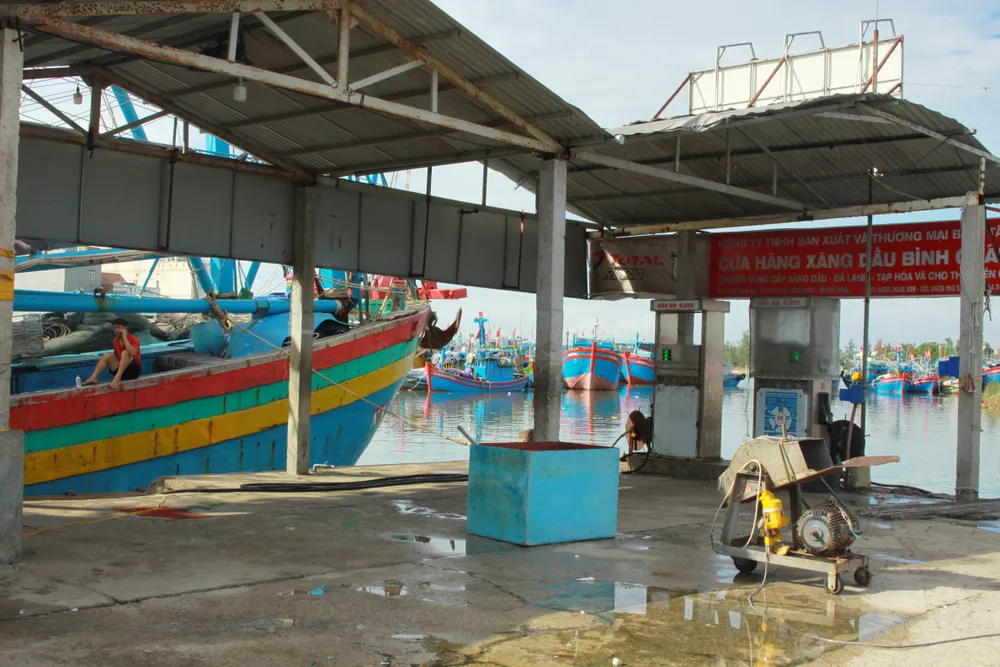 Xăng dầu giảm, ngư dân Quảng Ngãi chuẩn bị cho tàu vươn khơi ảnh 1 Xăng dầu giảm, ngư dân Quảng Ngãi chuẩn bị cho tàu vươn khơi ảnh 1