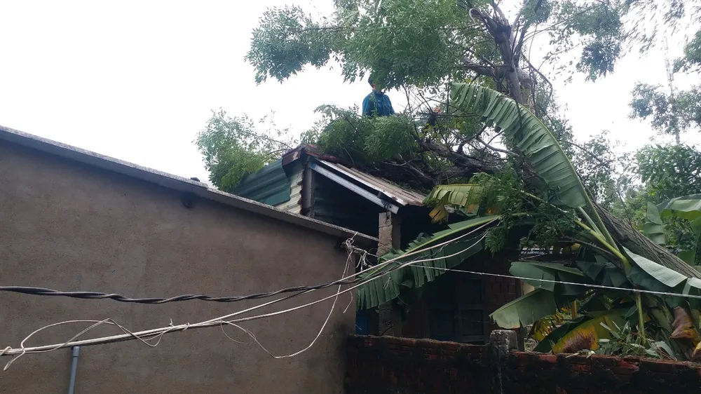 Quảng Ngãi khẩn trương khắc phục hậu quả ảnh hưởng bão số 4 ảnh 5